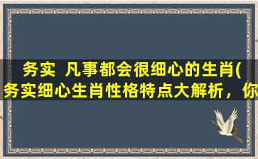 务实  凡事都会很细心的生肖(务实细心生肖性格特点大解析，你了解多少？)